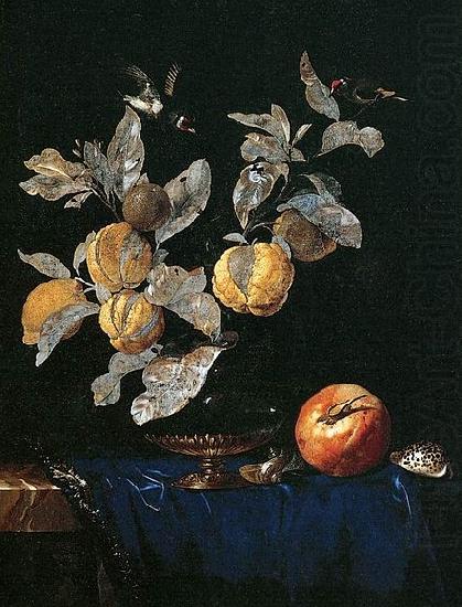 with Fruit, Aelst, Willem van